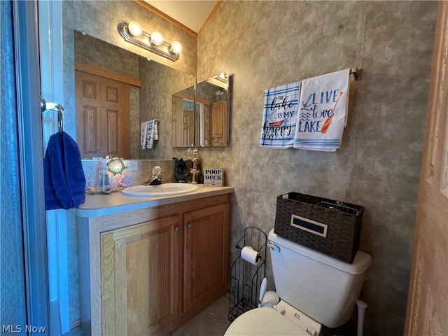 bathroom with toilet and vanity with extensive cabinet space