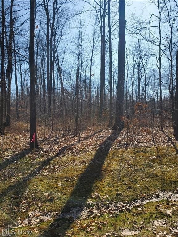 2025 Coriander Dr, West Salem, OH 44287