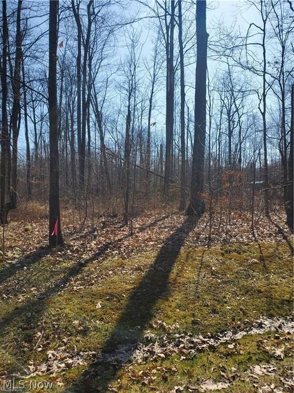 2025 Coriander Dr, West Salem OH, 44287 land for sale