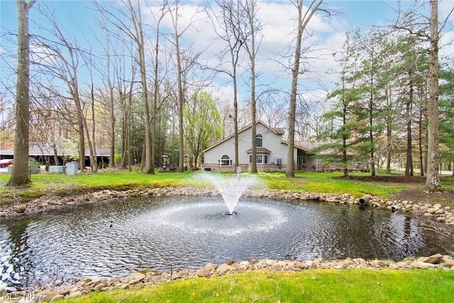 view of water feature