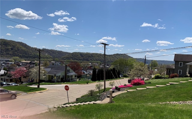 view of community featuring a mountain view and a lawn