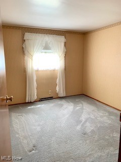 view of carpeted empty room