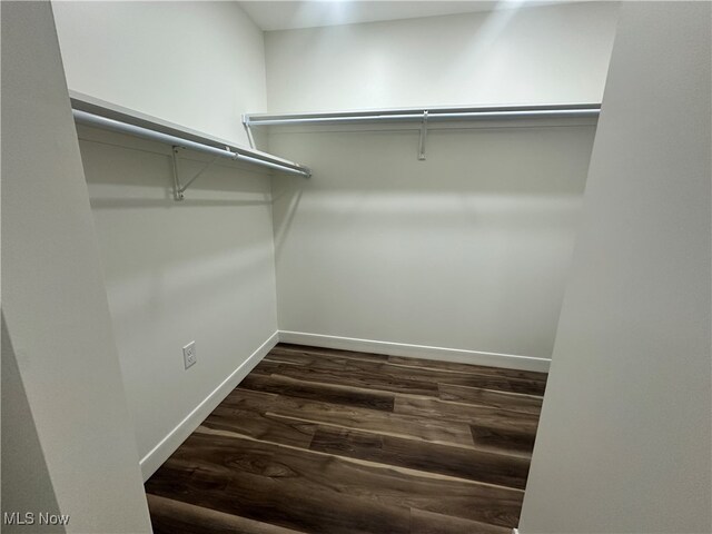 spacious closet with dark hardwood / wood-style flooring