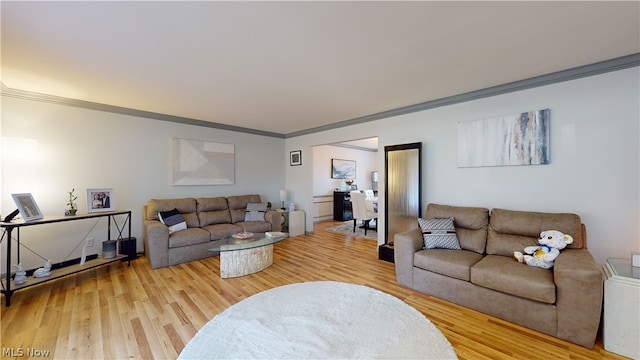 living room with wood-type flooring and crown molding