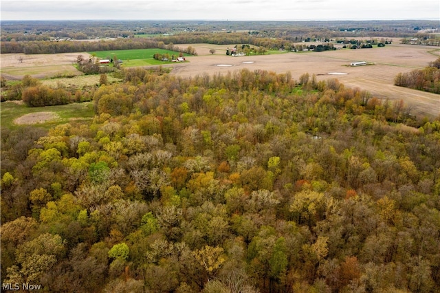 view of drone / aerial view