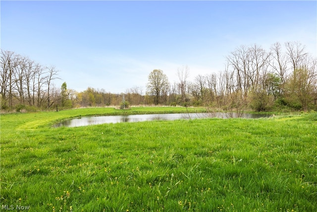 view of yard with a water view