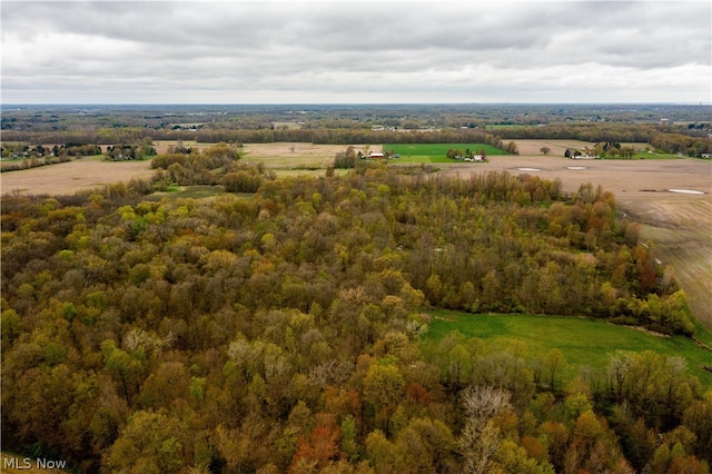 view of bird's eye view