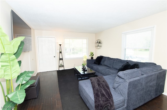 living room with dark hardwood / wood-style flooring