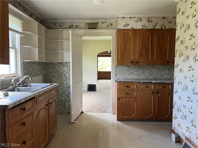 kitchen featuring backsplash, light carpet, and sink