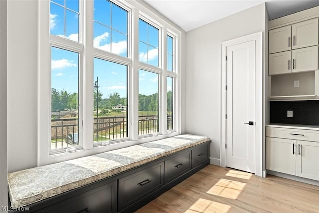 mudroom with light hardwood / wood-style floors