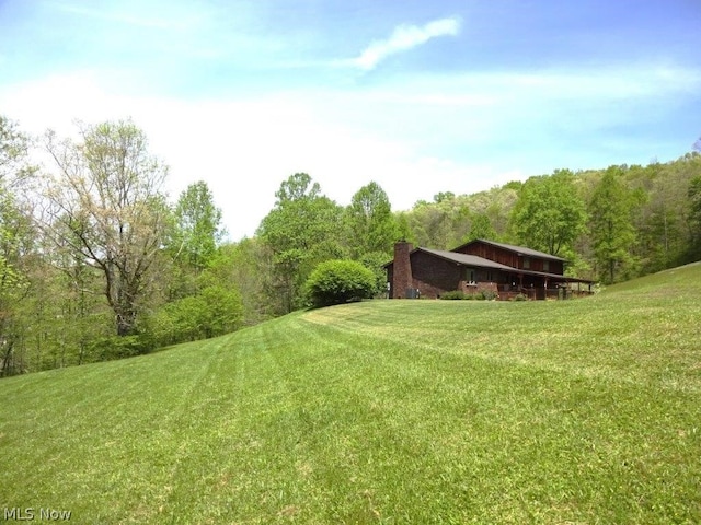 11421 Clay Rd, Newton, WV 25266 - view of yard with a forest view