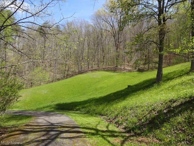 11421 Clay Rd, Newton, WV 25266 - view of community with a yard and a wooded view
