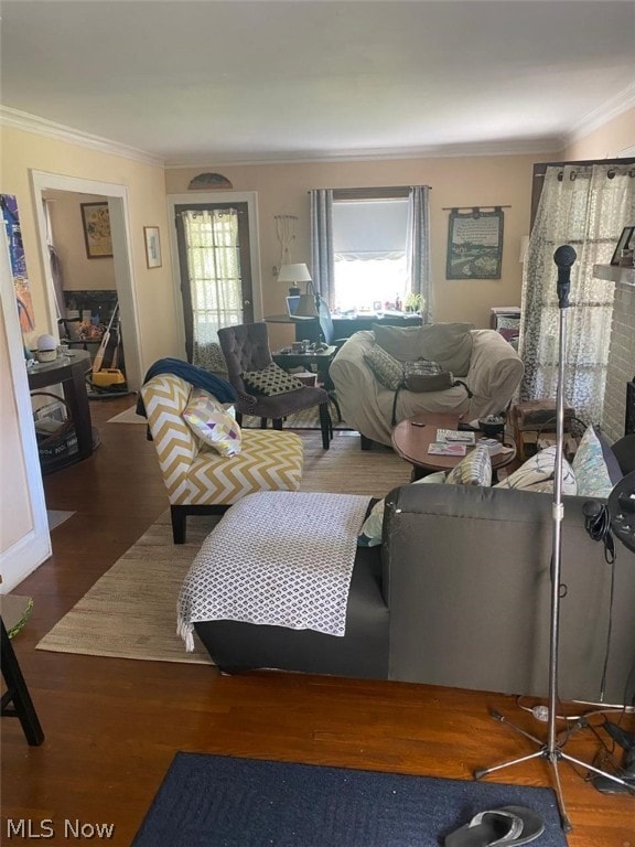 living room with hardwood / wood-style floors and ornamental molding