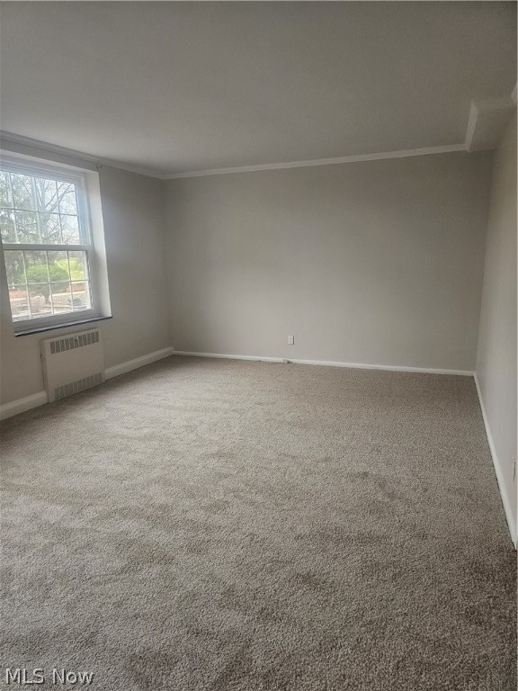 spare room with carpet flooring, radiator heating unit, and crown molding