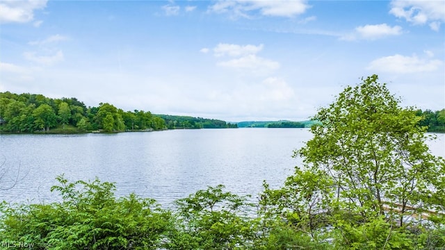 view of water feature