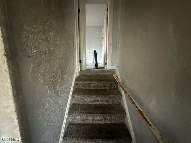 stairway with wood-type flooring