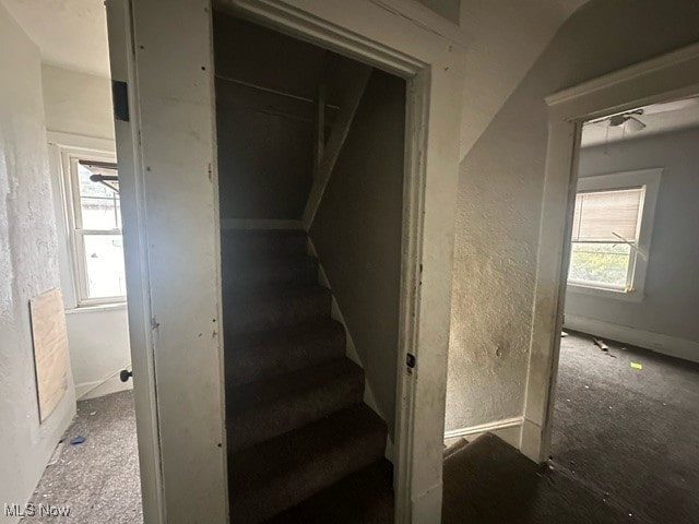 stairway with a wealth of natural light