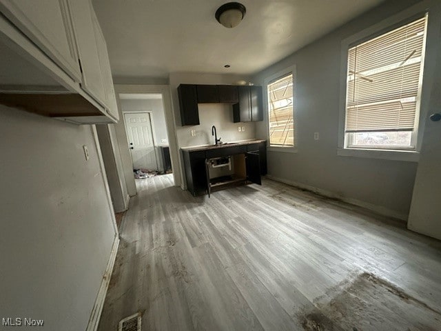 kitchen featuring light wood-type flooring and sink