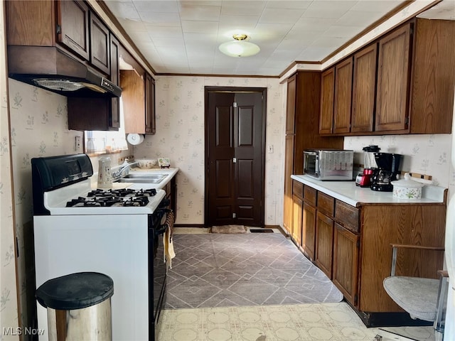 kitchen with sink, range with gas cooktop, and crown molding