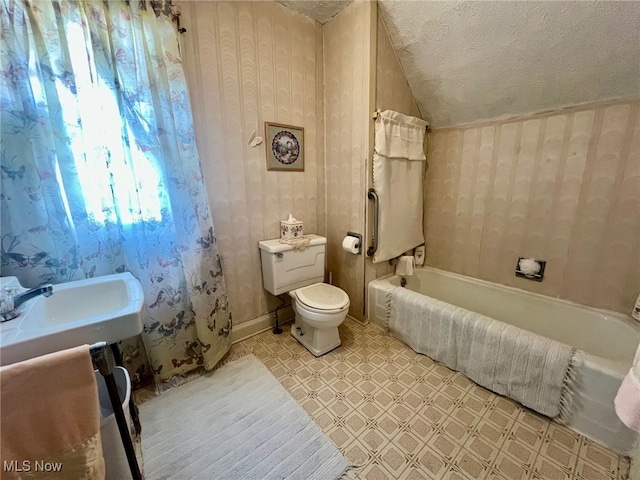 bathroom with sink, toilet, a textured ceiling, and a bathing tub