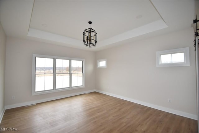 spare room featuring a tray ceiling, wood finished floors, and a healthy amount of sunlight