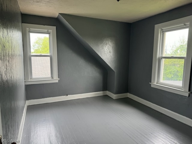 additional living space with dark hardwood / wood-style floors