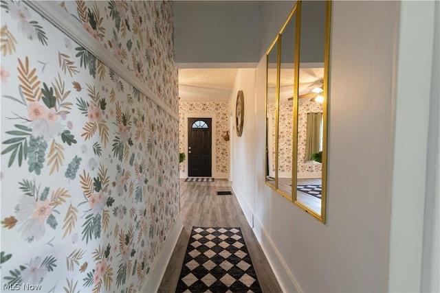 hallway with wood-type flooring