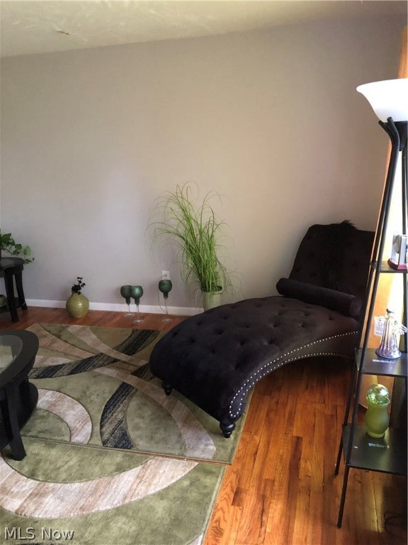 bedroom featuring hardwood / wood-style flooring