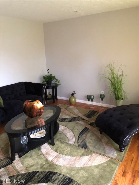 living room with hardwood / wood-style floors