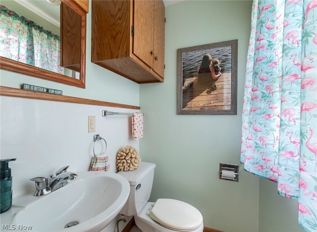 bathroom featuring sink and toilet