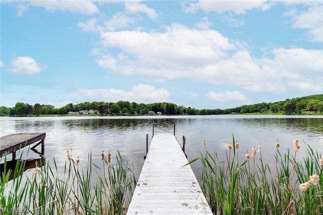 6579 Camp Blvd, Hanoverton, OH 44423 - dock area with a water view