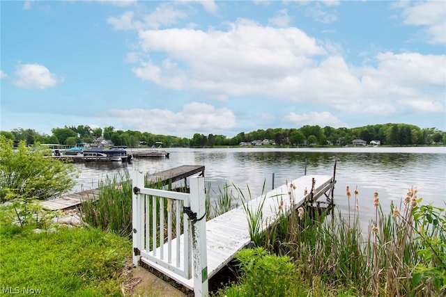 dock area with a water view