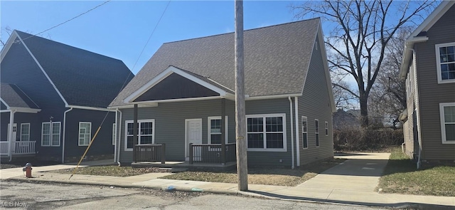 view of front of home with covered porch and roof with shingles