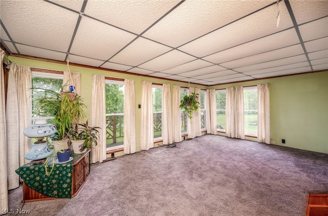 interior space with a healthy amount of sunlight and a drop ceiling