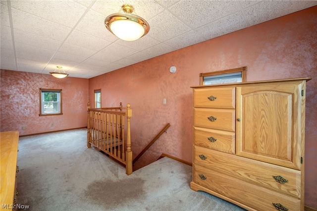 unfurnished bedroom featuring carpet and a paneled ceiling