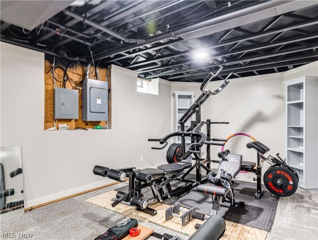 workout area featuring carpet flooring and electric panel