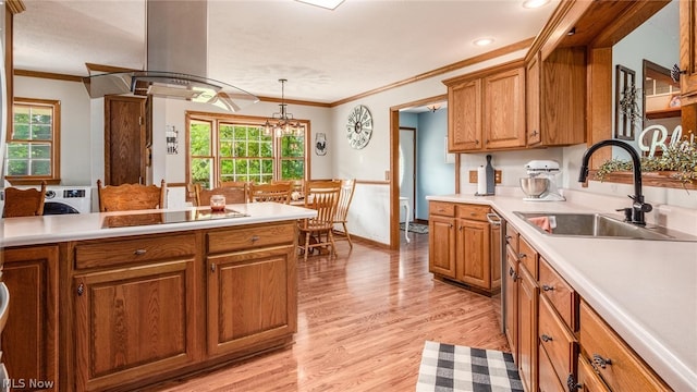 kitchen with a wealth of natural light, black electric cooktop, island exhaust hood, and light hardwood / wood-style flooring