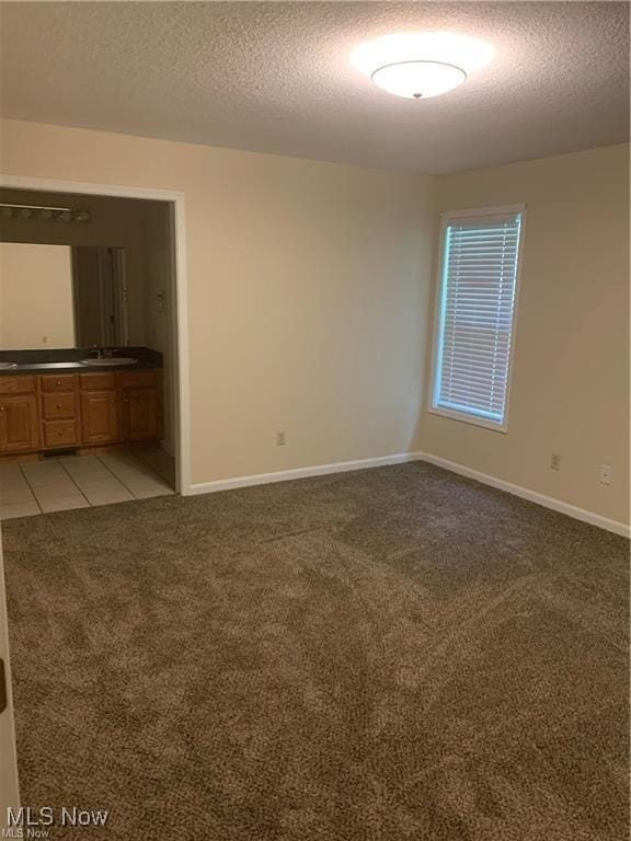 carpeted empty room with sink and a textured ceiling