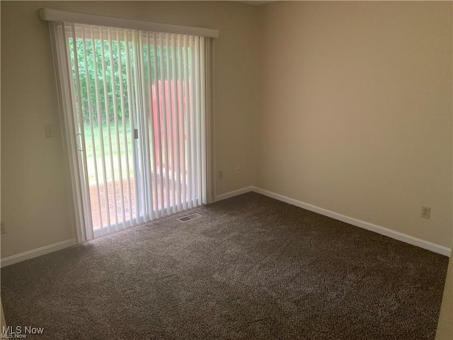 spare room with carpet floors and a wealth of natural light