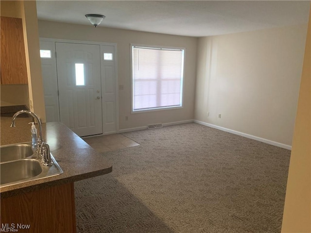 foyer entrance with carpet flooring and sink