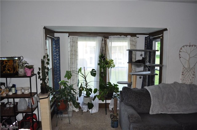 82 W 1st St, Frazeysburg, OH 43822 - photo 27