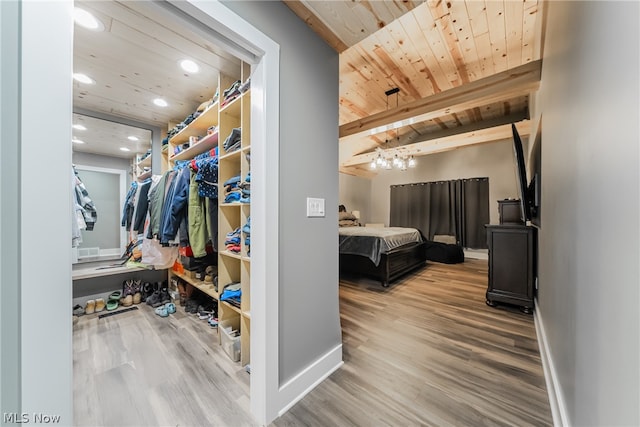 spacious closet with hardwood / wood-style flooring