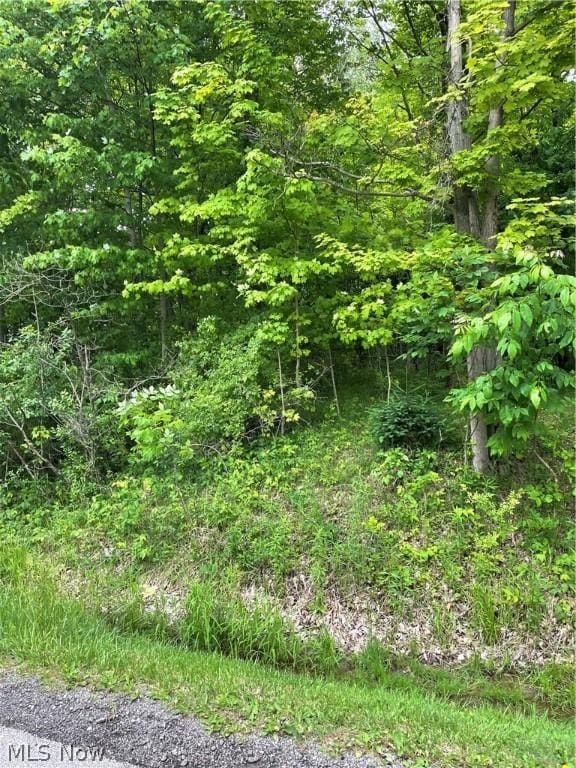 333 River Rd, Hinckley OH, 44233 land for sale