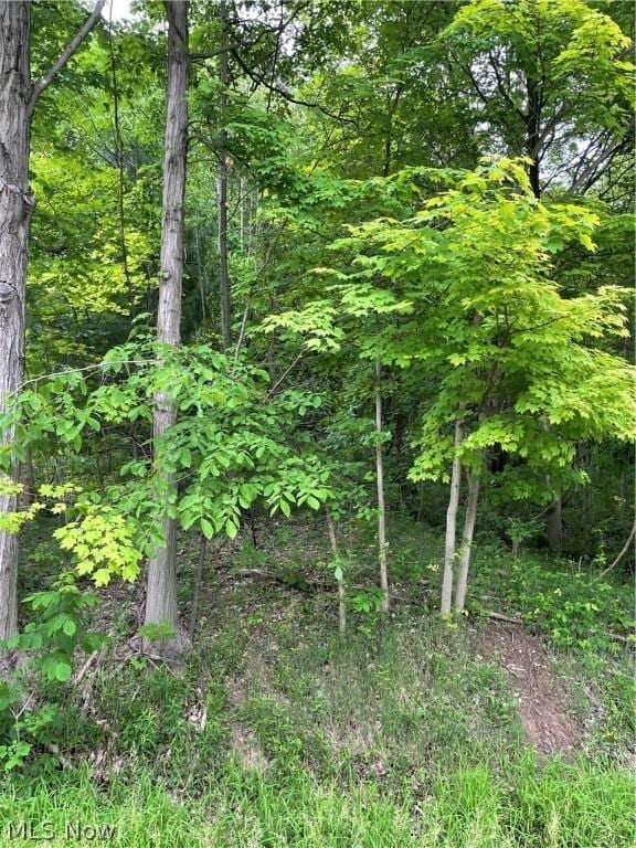 333 River Rd, Hinckley, OH 44233 - photo 2