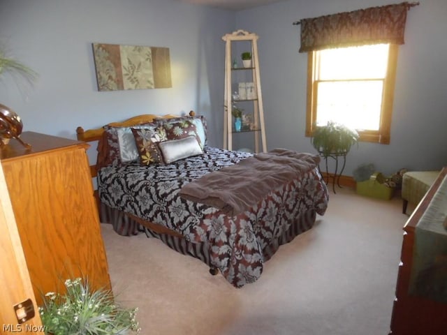 bedroom featuring carpet flooring