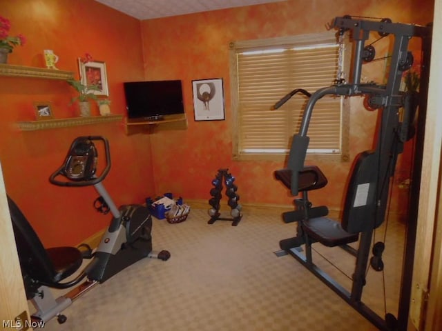 workout area featuring carpet flooring