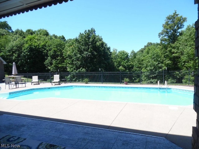 view of pool featuring a patio area