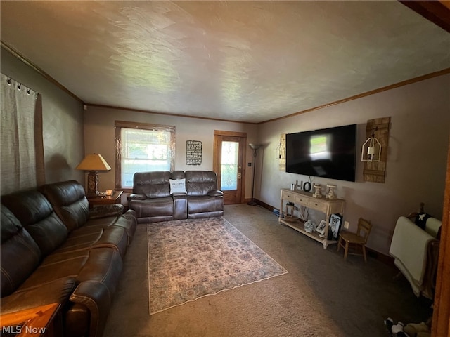 carpeted living room with crown molding