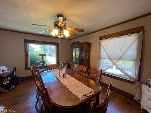 dining space featuring ornamental molding, ceiling fan, and dark hardwood / wood-style flooring