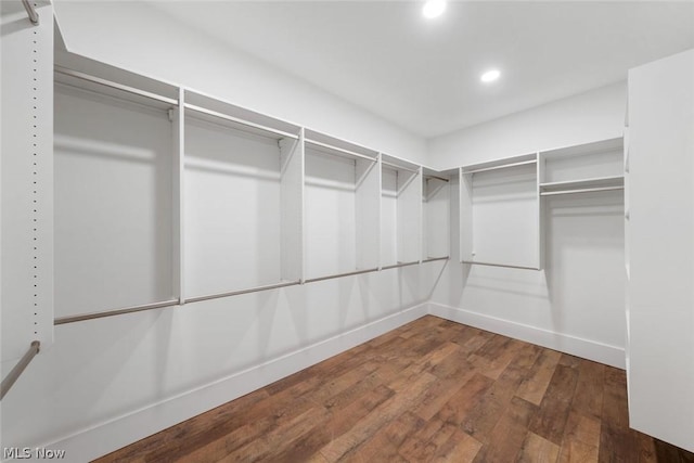 spacious closet with dark hardwood / wood-style flooring